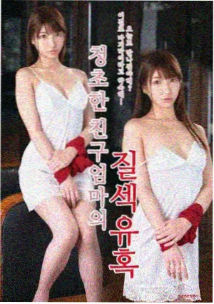 南风信箱封面