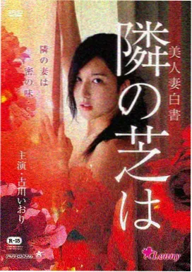 楼道里的猫封面